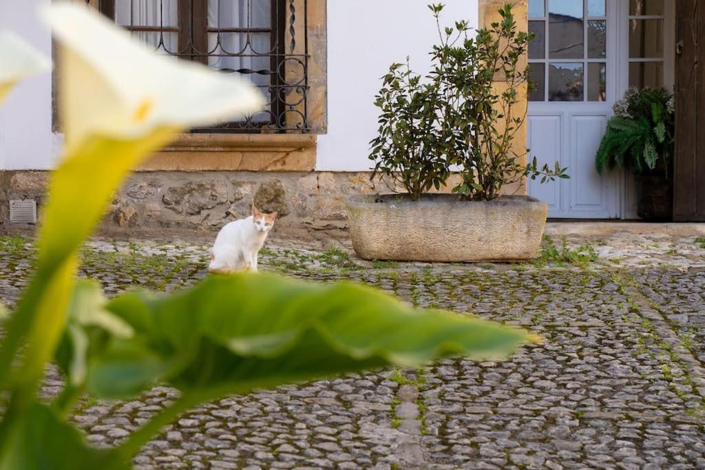 Villa Mima'S House - La Casa De Mima Comillas Esterno foto