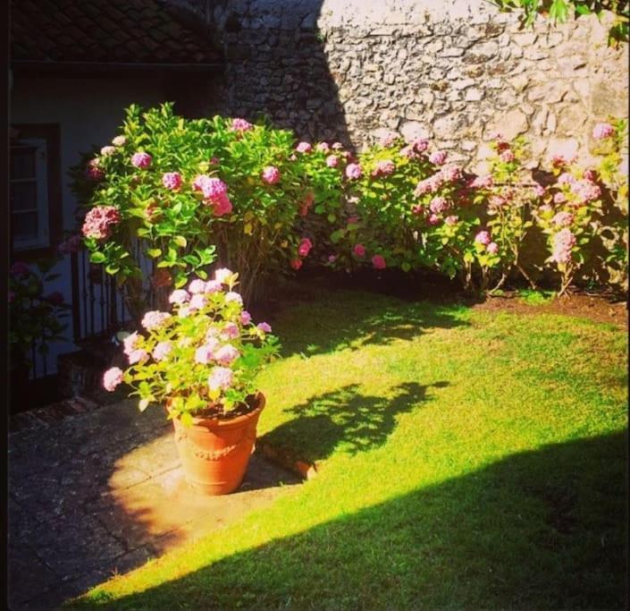 Villa Mima'S House - La Casa De Mima Comillas Esterno foto